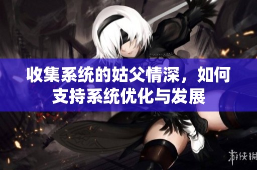 收集系统的姑父情深，如何支持系统优化与发展