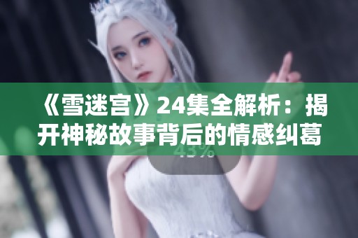 《雪迷宫》24集全解析：揭开神秘故事背后的情感纠葛与真相