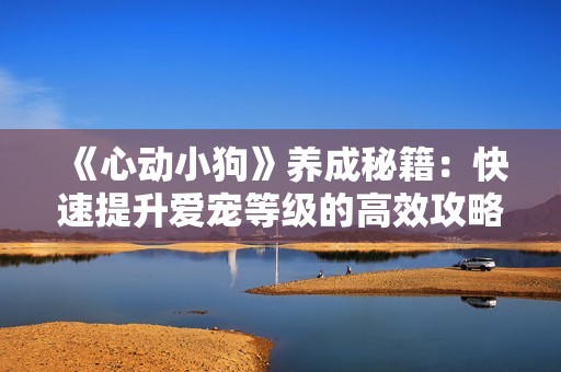 《心动小狗》养成秘籍：快速提升爱宠等级的高效攻略分享