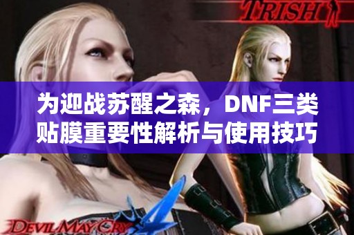 为迎战苏醒之森，DNF三类贴膜重要性解析与使用技巧