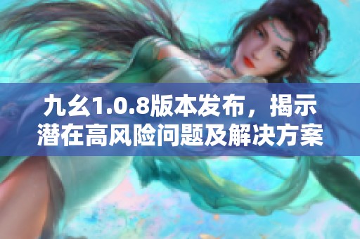 九幺1.0.8版本发布，揭示潜在高风险问题及解决方案