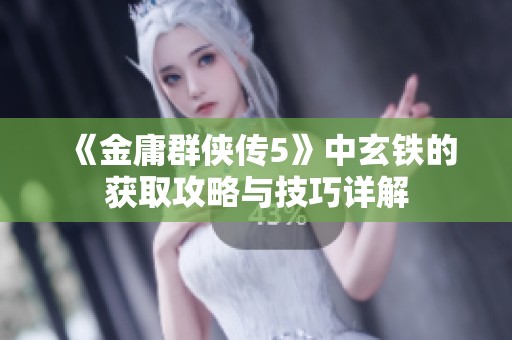 《金庸群侠传5》中玄铁的获取攻略与技巧详解