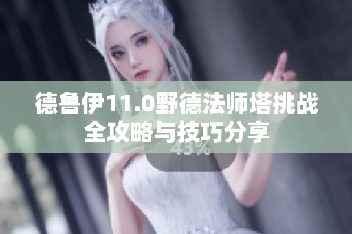 德鲁伊11.0野德法师塔挑战全攻略与技巧分享