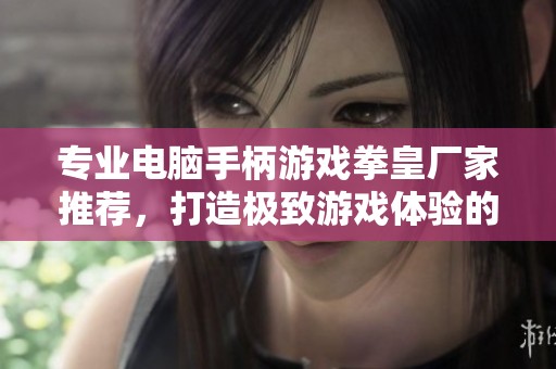 专业电脑手柄游戏拳皇厂家推荐，打造极致游戏体验的优质企业