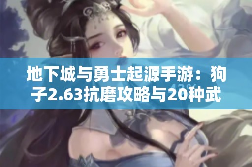 地下城与勇士起源手游：狗子2.63抗磨攻略与20种武器双伤害解析