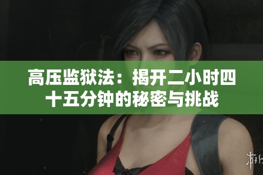 高压监狱法：揭开二小时四十五分钟的秘密与挑战