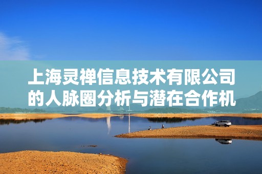上海灵禅信息技术有限公司的人脉圈分析与潜在合作机会探讨