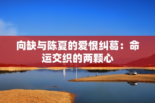 向缺与陈夏的爱恨纠葛：命运交织的两颗心
