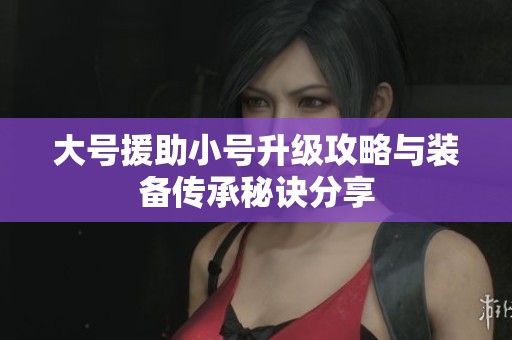 大号援助小号升级攻略与装备传承秘诀分享