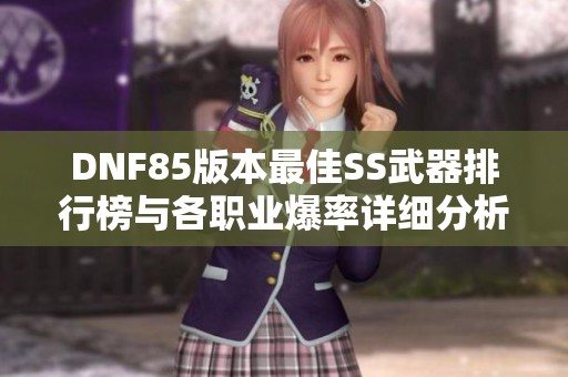 DNF85版本最佳SS武器排行榜与各职业爆率详细分析