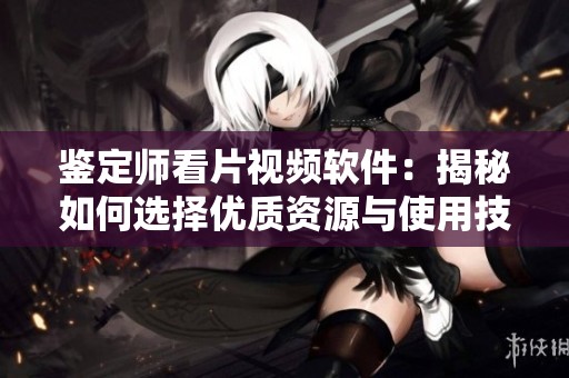 鉴定师看片视频软件：揭秘如何选择优质资源与使用技巧