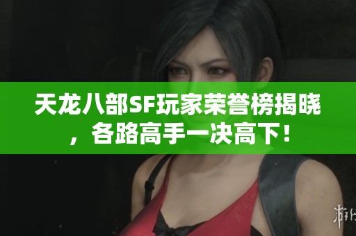 天龙八部SF玩家荣誉榜揭晓，各路高手一决高下！