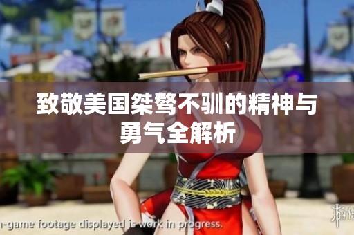 致敬美国桀骜不驯的精神与勇气全解析