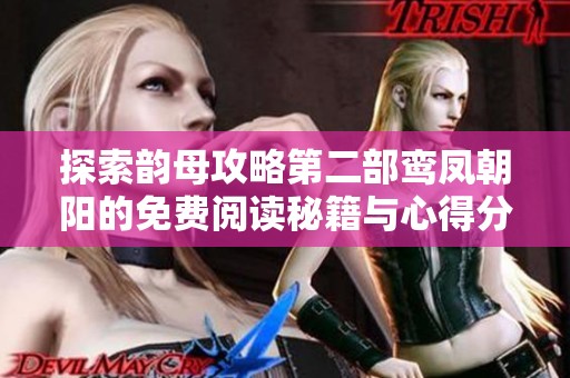 探索韵母攻略第二部鸾凤朝阳的免费阅读秘籍与心得分享