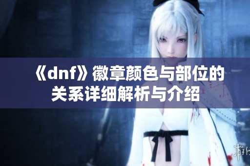 《dnf》徽章颜色与部位的关系详细解析与介绍