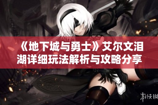 《地下城与勇士》艾尔文泪湖详细玩法解析与攻略分享