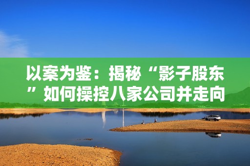 以案为鉴：揭秘“影子股东”如何操控八家公司并走向破裂之路