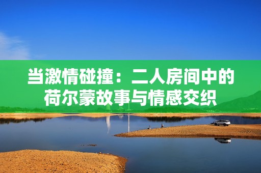 当激情碰撞：二人房间中的荷尔蒙故事与情感交织