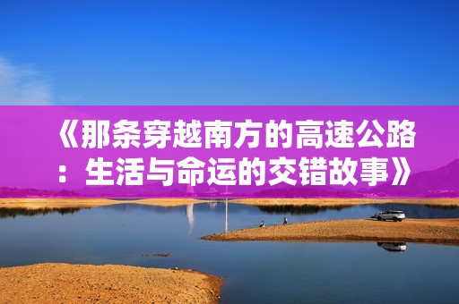 《那条穿越南方的高速公路：生活与命运的交错故事》