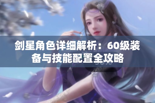 剑星角色详细解析：60级装备与技能配置全攻略