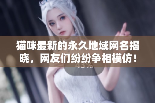 猫咪最新的永久地域网名揭晓，网友们纷纷争相模仿！