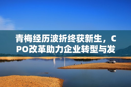 青梅经历波折终获新生，CPO改革助力企业转型与发展