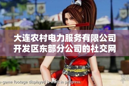 大连农村电力服务有限公司开发区东部分公司的社交网络与发展潜力分析
