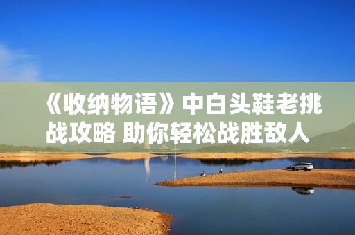 《收纳物语》中白头鞋老挑战攻略 助你轻松战胜敌人