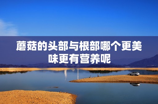 蘑菇的头部与根部哪个更美味更有营养呢