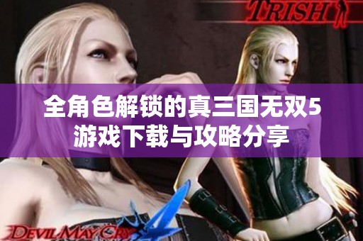 全角色解锁的真三国无双5游戏下载与攻略分享
