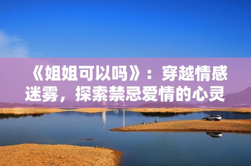 《姐姐可以吗》：穿越情感迷雾，探索禁忌爱情的心灵之旅