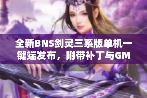 全新BNS剑灵三系版单机一键端发布，附带补丁与GM工具