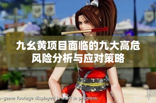九幺黄项目面临的九大高危风险分析与应对策略