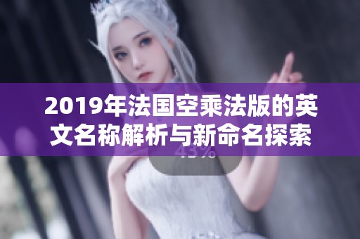 2019年法国空乘法版的英文名称解析与新命名探索