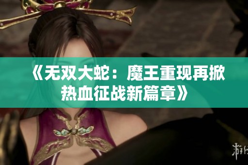 《无双大蛇：魔王重现再掀热血征战新篇章》