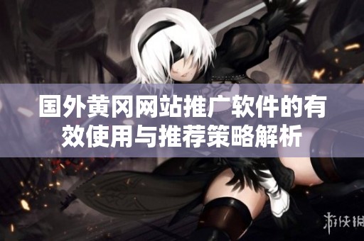 国外黄冈网站推广软件的有效使用与推荐策略解析