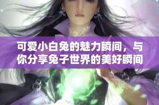 可爱小白兔的魅力瞬间，与你分享兔子世界的美好瞬间