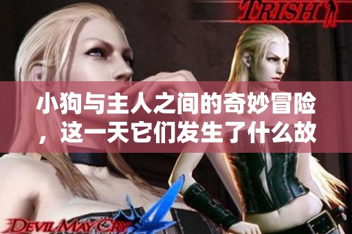 小狗与主人之间的奇妙冒险，这一天它们发生了什么故事