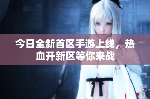 今日全新首区手游上线，热血开新区等你来战