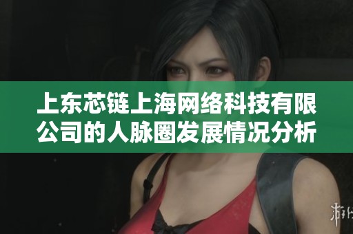 上东芯链上海网络科技有限公司的人脉圈发展情况分析与探讨