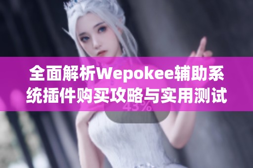 全面解析Wepokee辅助系统插件购买攻略与实用测试教程