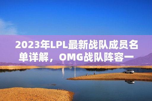 2023年LPL最新战队成员名单详解，OMG战队阵容一览