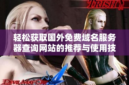 轻松获取国外免费域名服务器查询网站的推荐与使用技巧