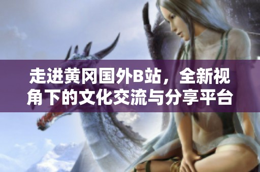 走进黄冈国外B站，全新视角下的文化交流与分享平台