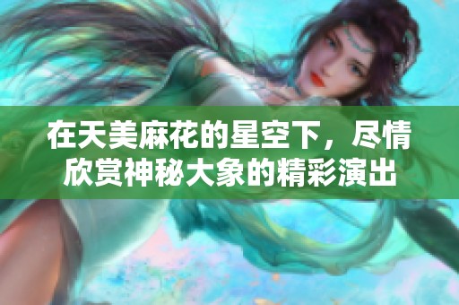 在天美麻花的星空下，尽情欣赏神秘大象的精彩演出