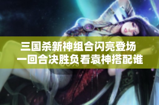 三国杀新神组合闪亮登场 一回合决胜负看袁神搭配谁人争锋
