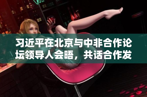 习近平在北京与中非合作论坛领导人会晤，共话合作发展新机遇