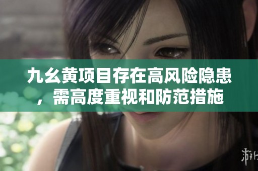 九幺黄项目存在高风险隐患，需高度重视和防范措施
