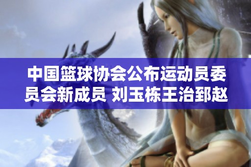 中国篮球协会公布运动员委员会新成员 刘玉栋王治郅赵继伟入选