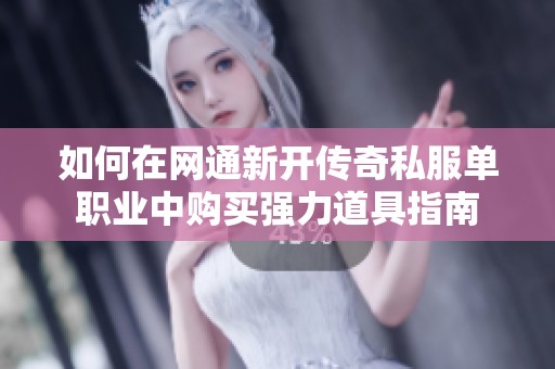 如何在网通新开传奇私服单职业中购买强力道具指南